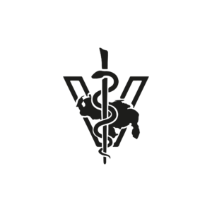 Logo2